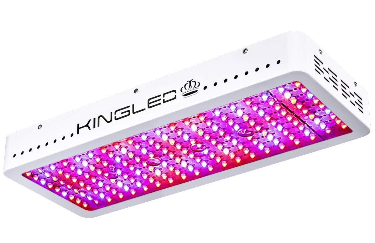 King Plus 2000w LED Grow Light Review GrowYour420