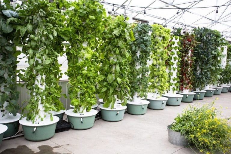 #10 Best Hydroponic Systems For Weed - GrowYour420